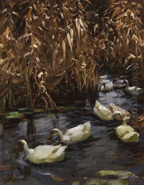 Acht Enten Im Herbstschilf - view 1