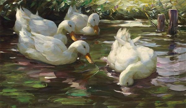 Four Ducks On The Pond - view 1