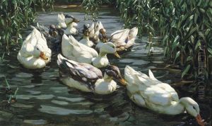 Enten Im Schilfteich - Canards Dans Les Roseaux by Alexander Max Koester
