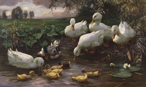 Erpel Mit Enten Und Kuken Am Seeufer - view 1