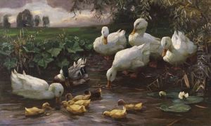 Erpel Mit Enten Und Kuken Am Seeufer by Alexander Max Koester