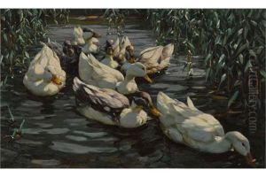 Acht Enten Im Schilfteich by Alexander Max Koester