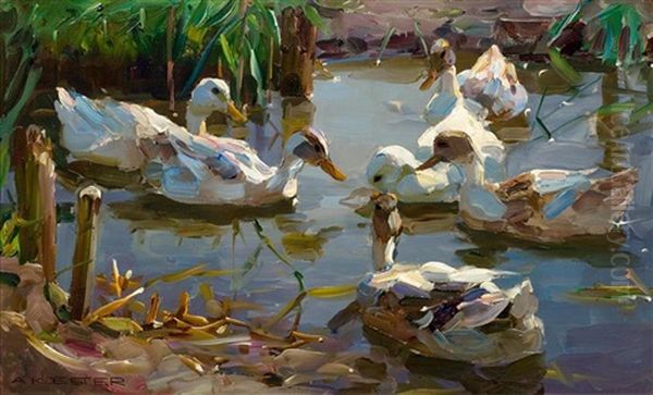 Sechs Enten Im Wasser Am Seeufer - view 1