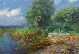 Teichlandschaft Mit Schilf Teichlandschaft Mit Schilf