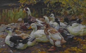 Meine Enten Meine Enten