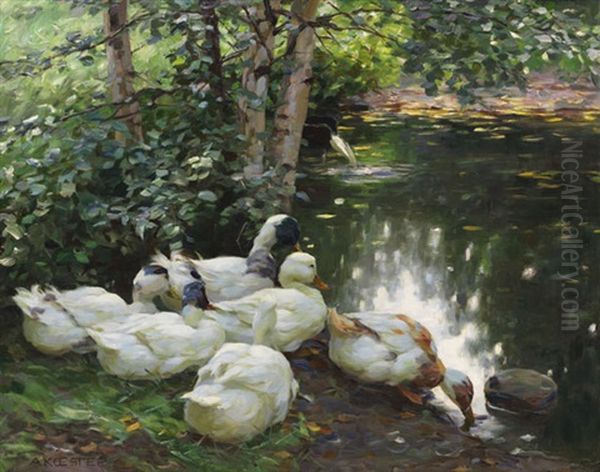 Sechs Enten Am Teichufer - view 1