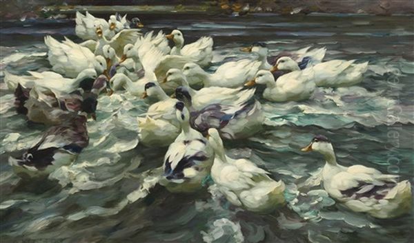 Enten In Teich (wilde Jagd) - view 1