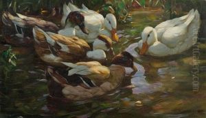 Funf Enten Im Teich Funf Enten Im Teich