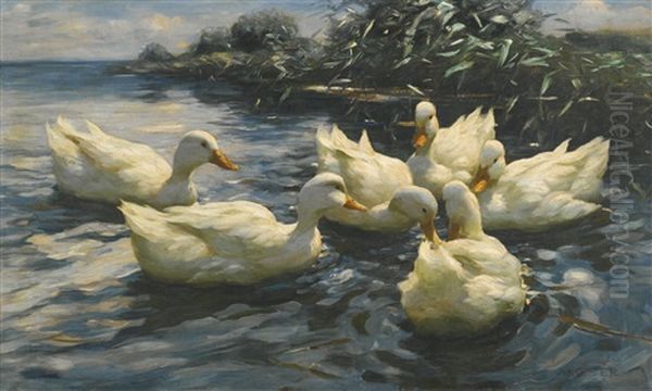 Sechs Enten (six Ducks) - view 1