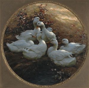 Ducks Resting In The Evening Sun by Alexander Max Koester