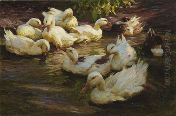 Enten In Herbststimmung (entenidyll) - view 1