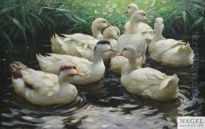 Ans Ufer. Acht Weise Enten Im Wasser