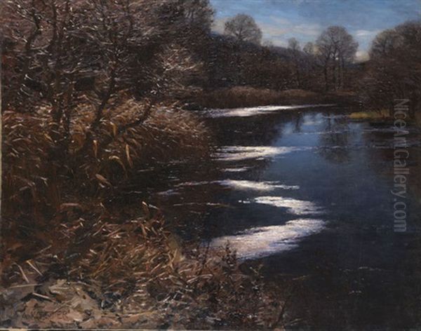 Der Weiher - view 1