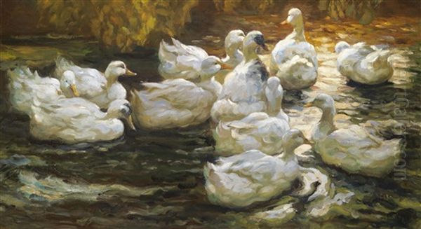 Heimwarts-enten Im Sonnenlicht - view 1