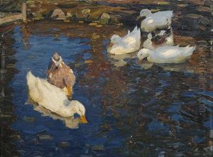 Sechs Enten Im Teich