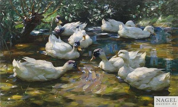 Weise Enten Im Sommerteich - view 1