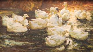 Eleven Ducks In Evening Light by Alexander Max Koester