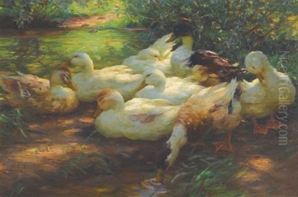 Enten Am Flussufer (ducks On The Riverbank) - view 1