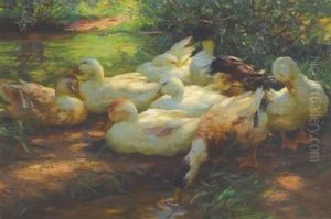 Enten Am Flussufer (ducks On The Riverbank) Enten Am Flussufer (ducks On The Riverbank)