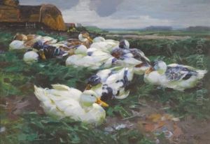 Enten Auf Dem Feld (ducks In A Field) Enten Auf Dem Feld (ducks In A Field)