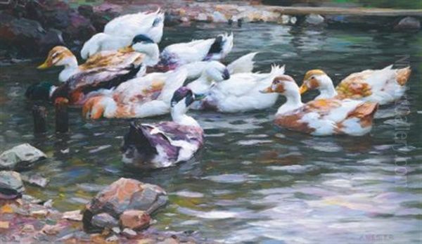 Ententeich (ducks On A Pond) - view 1