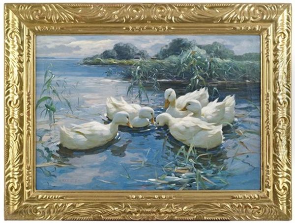 Entenbesprechung. Funf Weise Enten Im Schilfwasser - view 1
