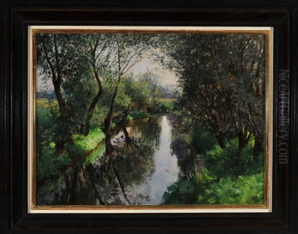 Bachlauf Mit Baumen In Fruhlingslandschaft - view 1