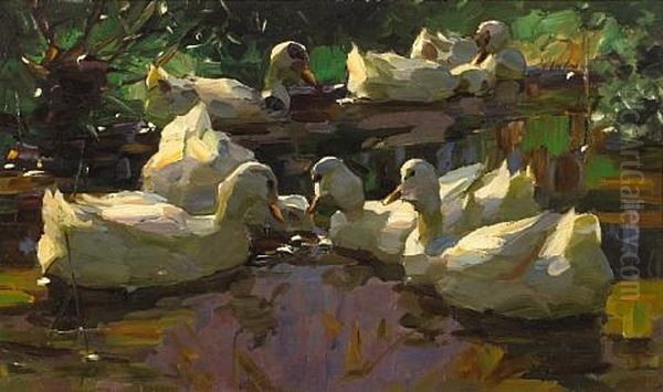 Ducks In A Pond (busy-bodies) - view 1