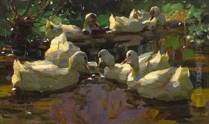 Ducks In A Pond (busy-bodies) Ducks In A Pond (busy-bodies)