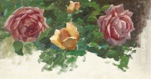 Rosen (study)
