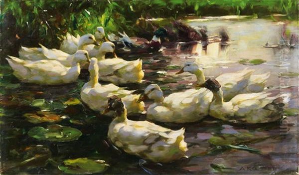 Enten Im Wasser (fohnstimmung) - view 1