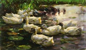 Enten Im Wasser (fohnstimmung)