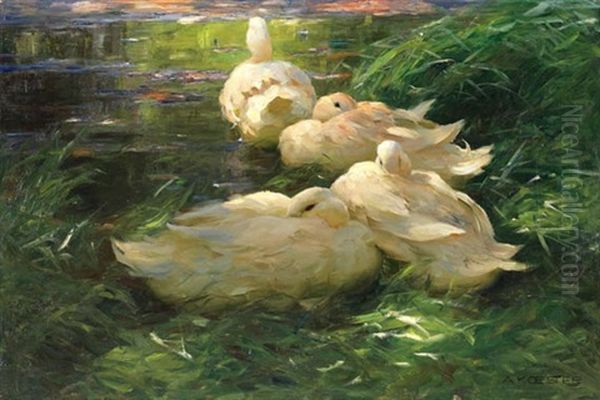Vier Enten Im Schilfwasser - view 1
