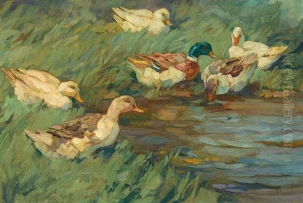 Sechs Enten Am Schilfwasser - view 1