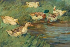 Sechs Enten Am Schilfwasser by Alexander Max Koester