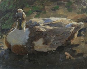 Ente Im Teich Ente Im Teich