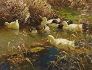 Enten Am Teich by Alexander Max Koester