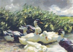 Enten In Grunem Wasser : Ducks On Green Water by Alexander Max Koester