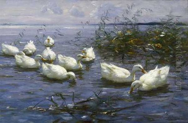 Zehn Weise Enten Im Wasser - view 1
