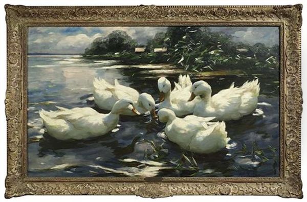 Entenbesprechung. Funf Enten Tummeln Sich Im Wasser - view 1