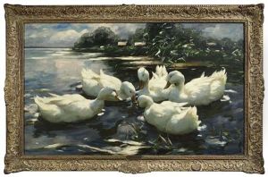 Entenbesprechung. Funf Enten Tummeln Sich Im Wasser by Alexander Max Koester