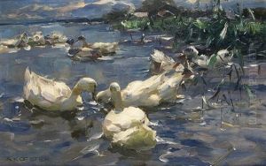 Ducks In The Sunlight