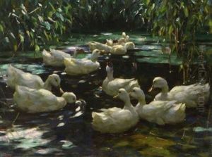 Zwolf Enten Im Schilfteich