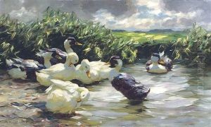 Enten In Grunem Wasser by Alexander Max Koester