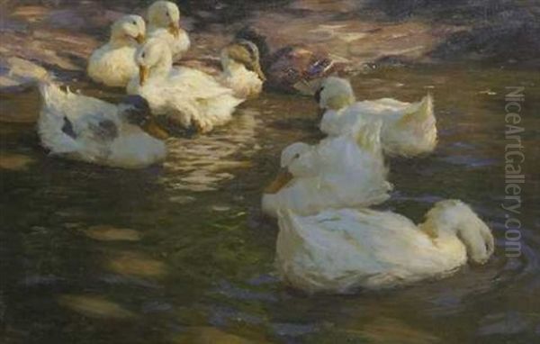 Neun Enten Im Wasser - view 1