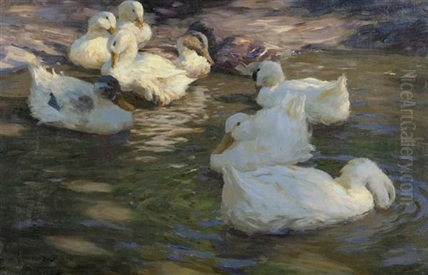 Neun Enten Im Teich - view 1