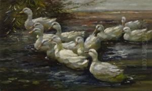 Elf Weise Enten Elf Weise Enten