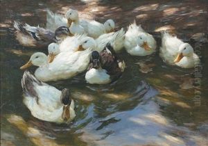 Enten In Morgensonne by Alexander Max Koester