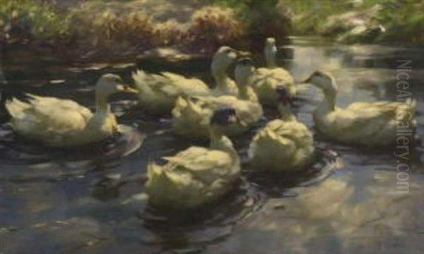 Sieben Weise Enten Im Wasser - view 1