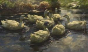 Sieben Weise Enten Im Wasser by Alexander Max Koester
